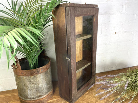 Vintage Rustic Indian Wooden Glazed Shop Display Bathroom Kitchen Wall Cabinet