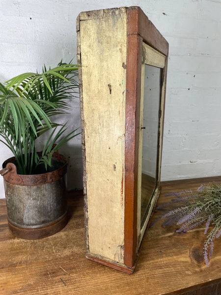 Vintage Rustic Indian Wooden Glazed Shop Display Bathroom Kitchen Wall Cabinet