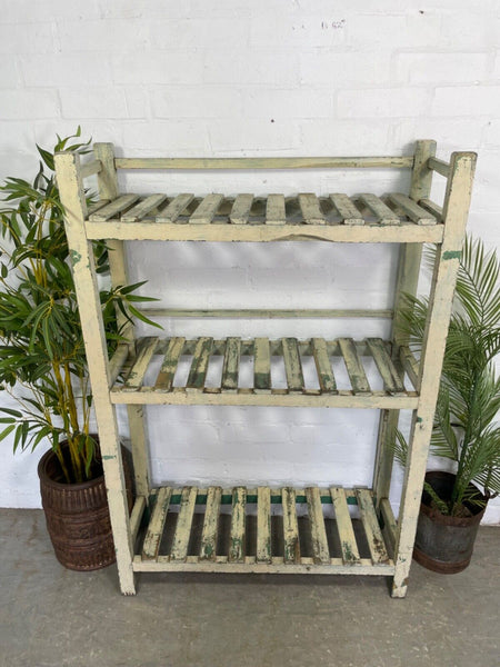 Vintage Reclaimed Indian Solid Wooden Cream Shelves Bookcase Racking Shelving